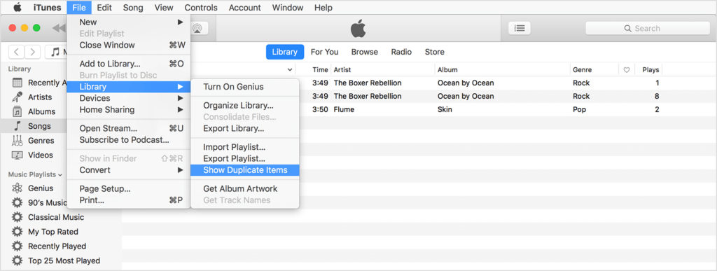 top iTunes Duplicate Remover - iTunes