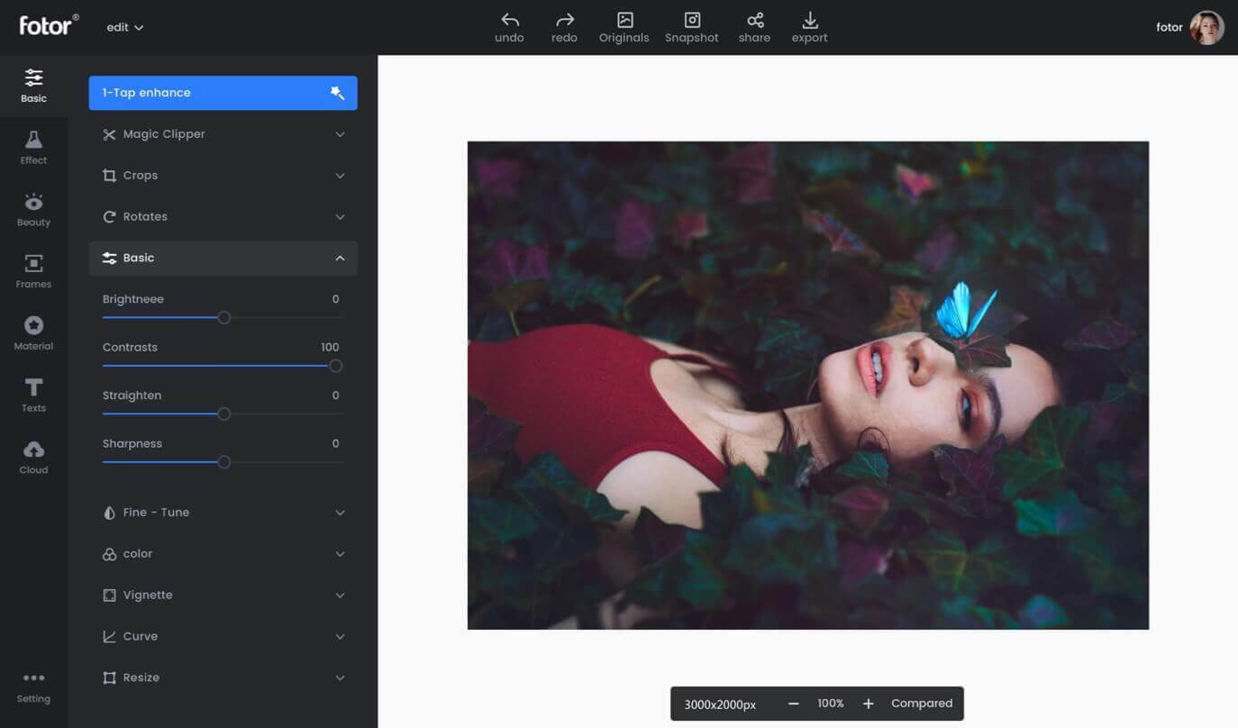 Fotor free photo editor for Mac